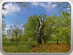 7.5.: Am Wanderweg
