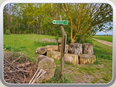 23-05-05_05887a