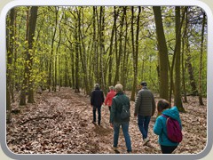 Waldweg nach Ptz