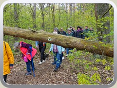 23-05-07_06022a