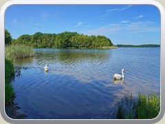 23-06-03_07896a
