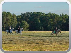 23-07-07_02277a