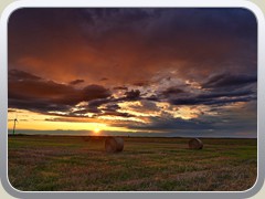 23-07-24_03582a