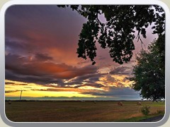 23-07-24_03599a
