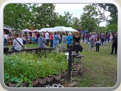 23-07-29_04035a
