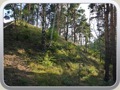 23-08-04_04606a