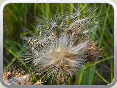 23-08-04_04666a_
