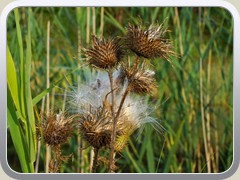 23-08-04_04668a