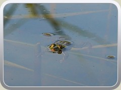 23-08-04_04682a