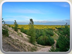 23-08-04_04694a