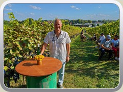 Martin Braun, Vorsitzender des Weinbauvereins
