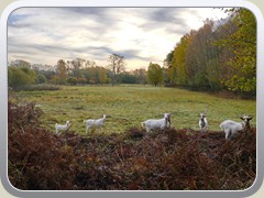 23-11-02_00244a