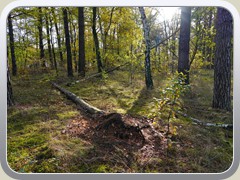 23-11-02_00282a