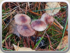 23-11-02_00288a