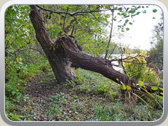 23-11-02_00368a