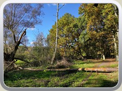 23-11-04_00409a