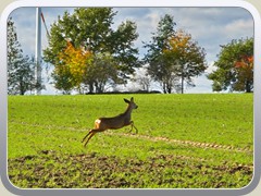 23-11-04_00511a
