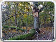 23-11-04_00558a