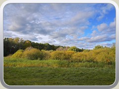 Die Wiese des sdlichen Stschketals