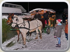 3.12.: Die Weihnachtskutsche fuhr die Schneekönigin, den Weihnachtsmann und Schneemann in ihr weihnachtliches Zuhause