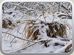 24-01-17_05639a