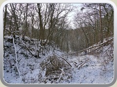 24-01-17_05653a