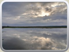 13.2.: Auch eine Woche sp�ter wurden die �berschwemmten Fl�chen auf dem P�tzer Plan nicht weniger.