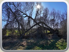 24-02-24_07491a