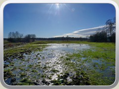 24-02-24_07527a