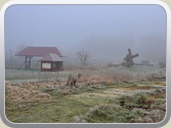 Nebel am M�hlen-/Weinberg
