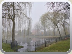 6.3.: Blick �ber den Dorfteich