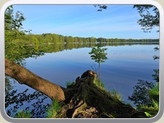 Todnitzsee