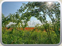 24-05-24_03635a
