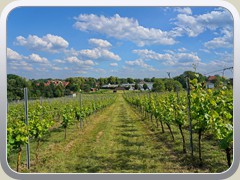 24-06-08_04548a