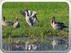 An der Mittenwalder Stra�e