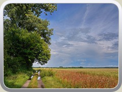 4.8.: Gr�bendorfer Weg nach Starkregen