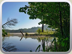 24-08-06_08431a