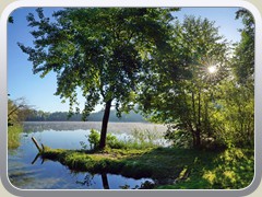 6.8.: Freudenthaler Tonsee