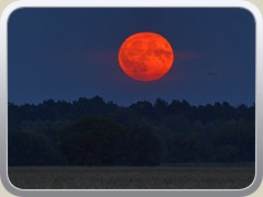 19.8.: Vollmondaufgang �ber dem P�tzer Plan