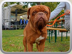 24-09-28_00265a