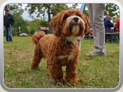 24-09-28_00280a