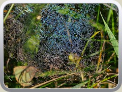 24-10-24_01125a