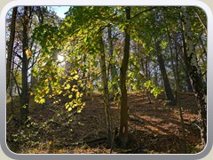 24-10-24_01164a
