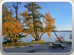 Am kleinen Badestrand an der Gastst�tte Seeblick