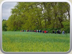 25-05-04_09515a1