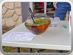 25-05-17_00321a1