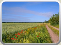 25-06-20_03002a