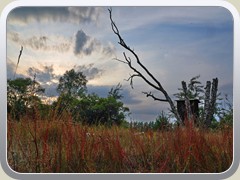 25-07-14_05521a