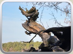 26-03-13_00667a