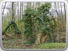 26-04-18_02288a